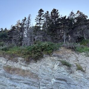 Meet your Posher, Eve